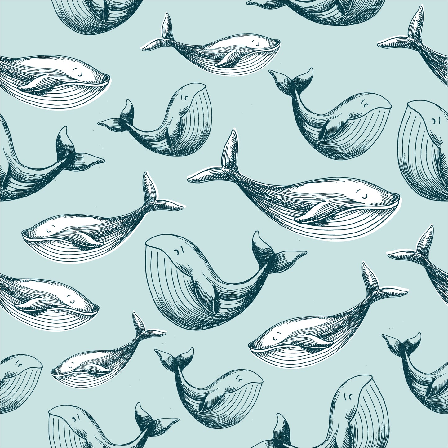 Whale removable peel and stick wallpaper Nautical wallpaper