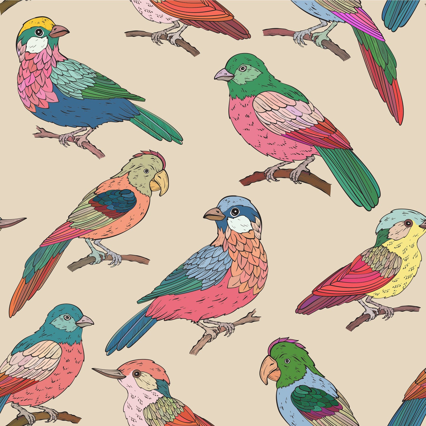 colorful Parrots removable peel and stick wallpaper (Copy)