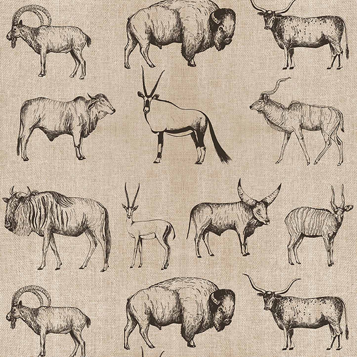Buffalo And Bison Removable Peel And Stick Wallpaper