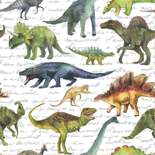 Stegosaurus Life Removable Peel And Stick Wallpaper