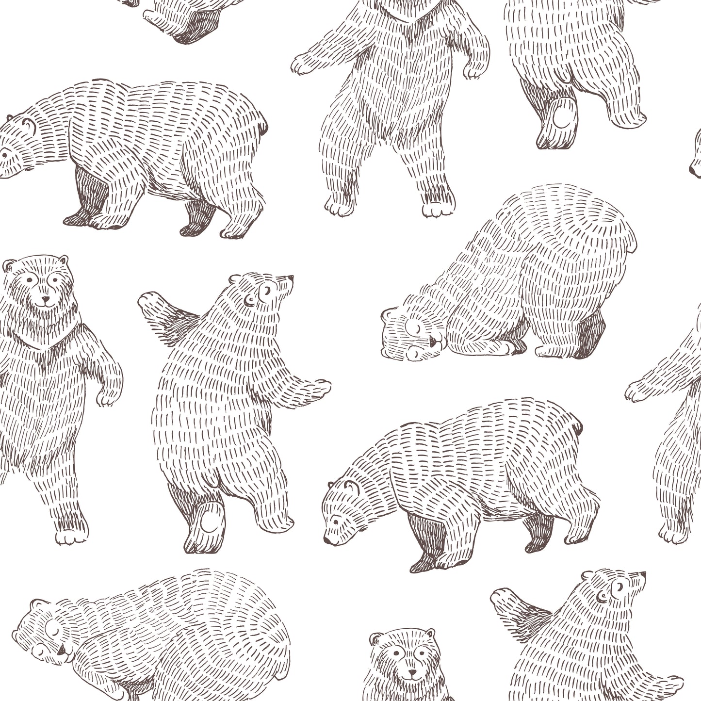 Bear Wallpaper removable peel and stick wallpaper