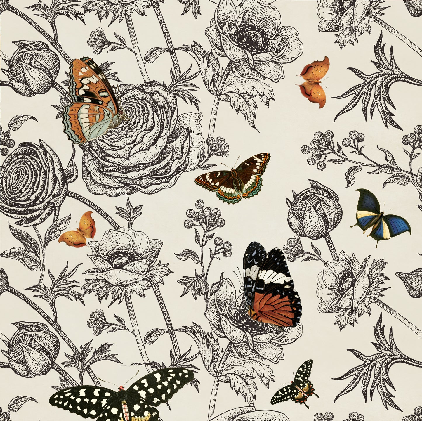 Flutter Like A Butterfly Removable Peel And Stick Wallpaper