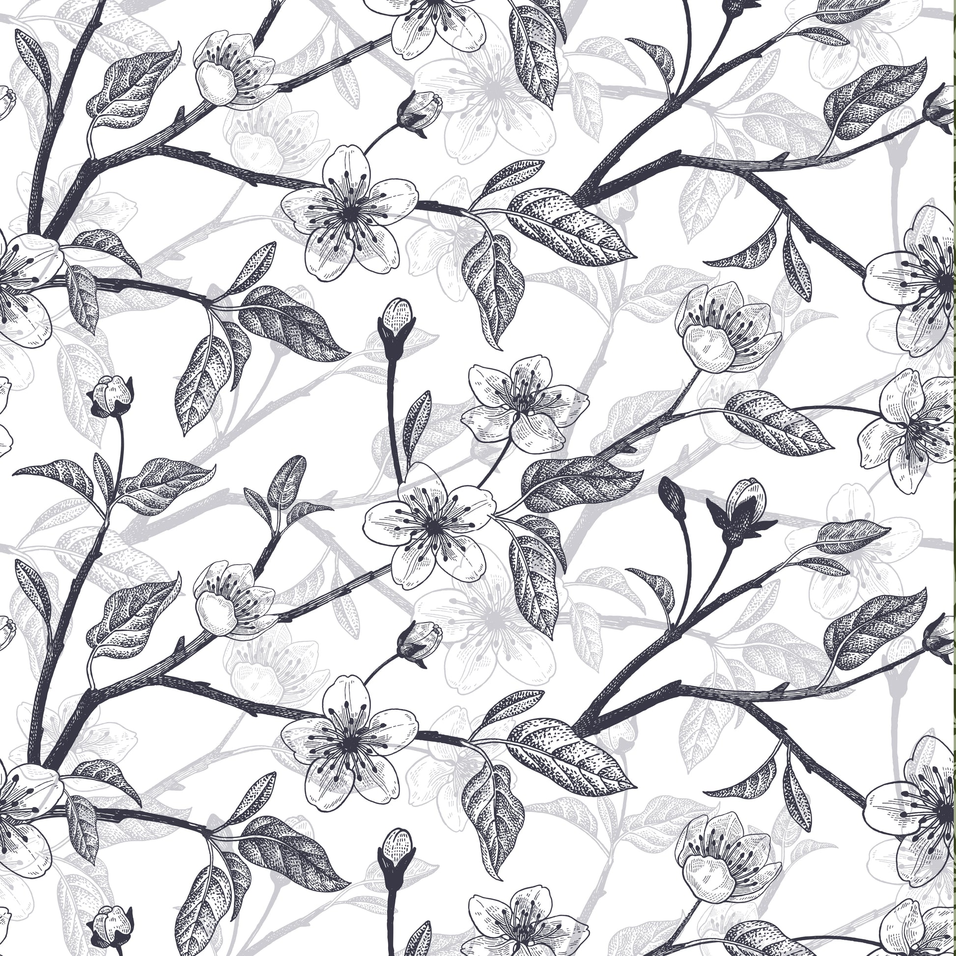 Black and white cherry Blossom wallpaper swatch